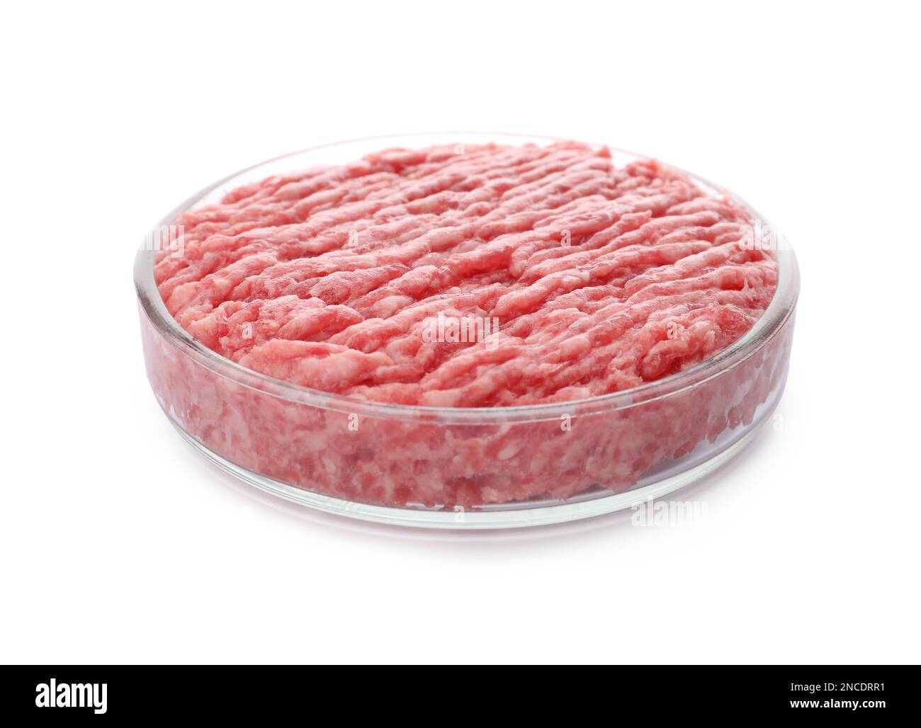 Petrischale mit rohem Hackfleisch auf weißem Hintergrund Stockfoto