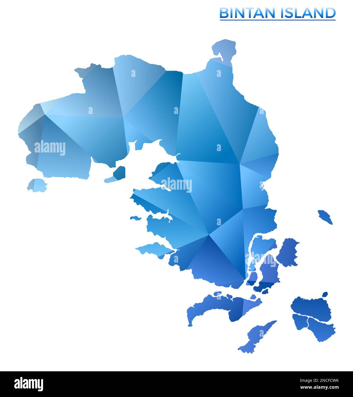 Polygonale Vektorkarte der Bintan-Insel. Lebendige geometrische Insel mit niedrigem Poly-Stil. Stilvolle Illustration für Ihre Infografiken. Technologie, Internet, Netz Stock Vektor
