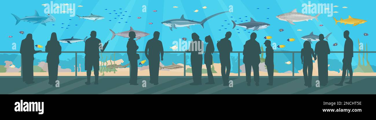 Haie in einer flachen Zusammensetzung des Ozeanariums mit horizontaler Sicht auf das große Aquarium mit Unterwasserfischen und Menschen Vektordarstellung Stock Vektor