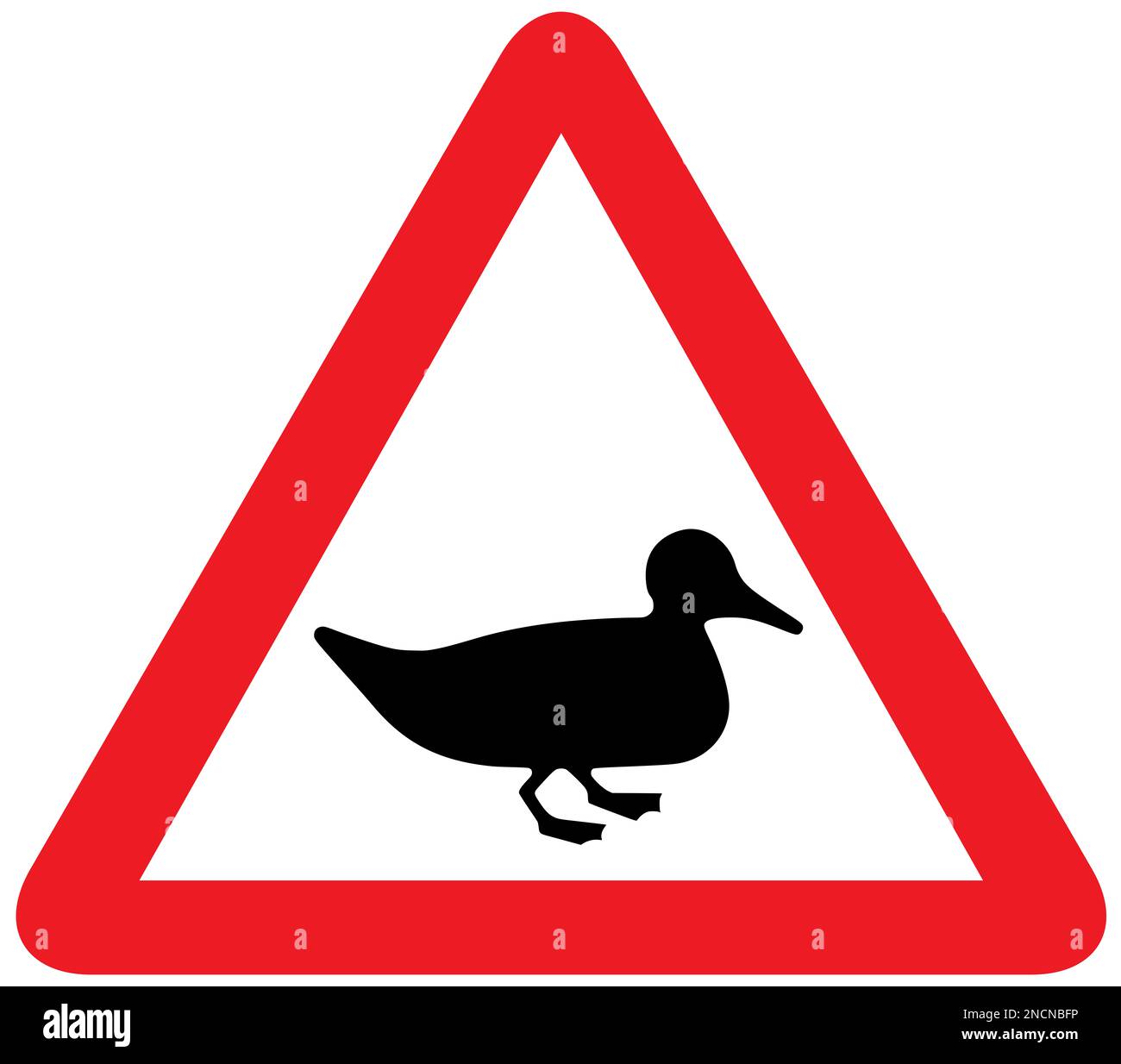 Wildvögel sind wahrscheinlich auf der Straße vor dem britischen Straßenschild Stockfoto