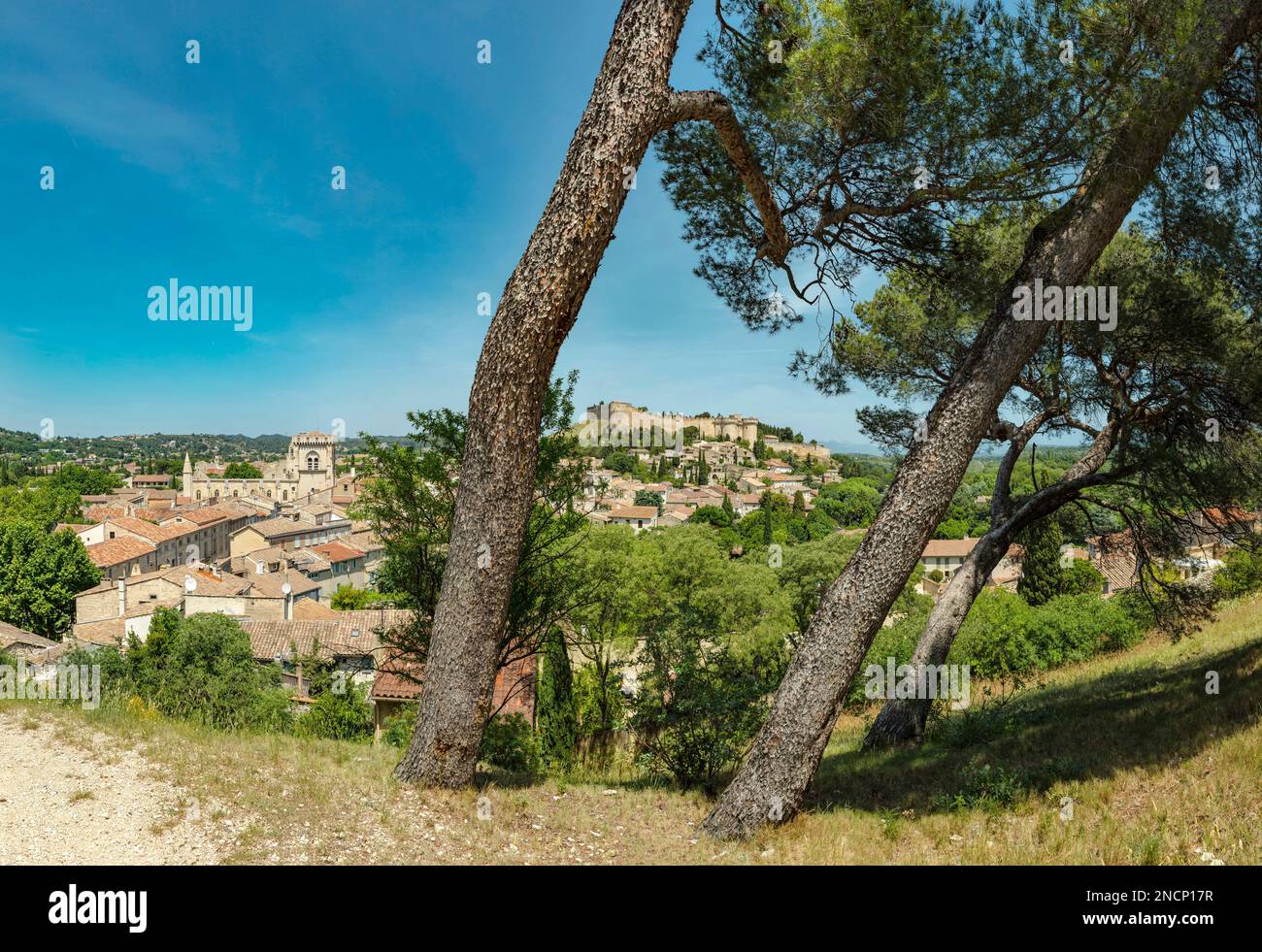 Blick auf Fort Saint-André vom Parc La Collinendes Mourgues Stockfoto