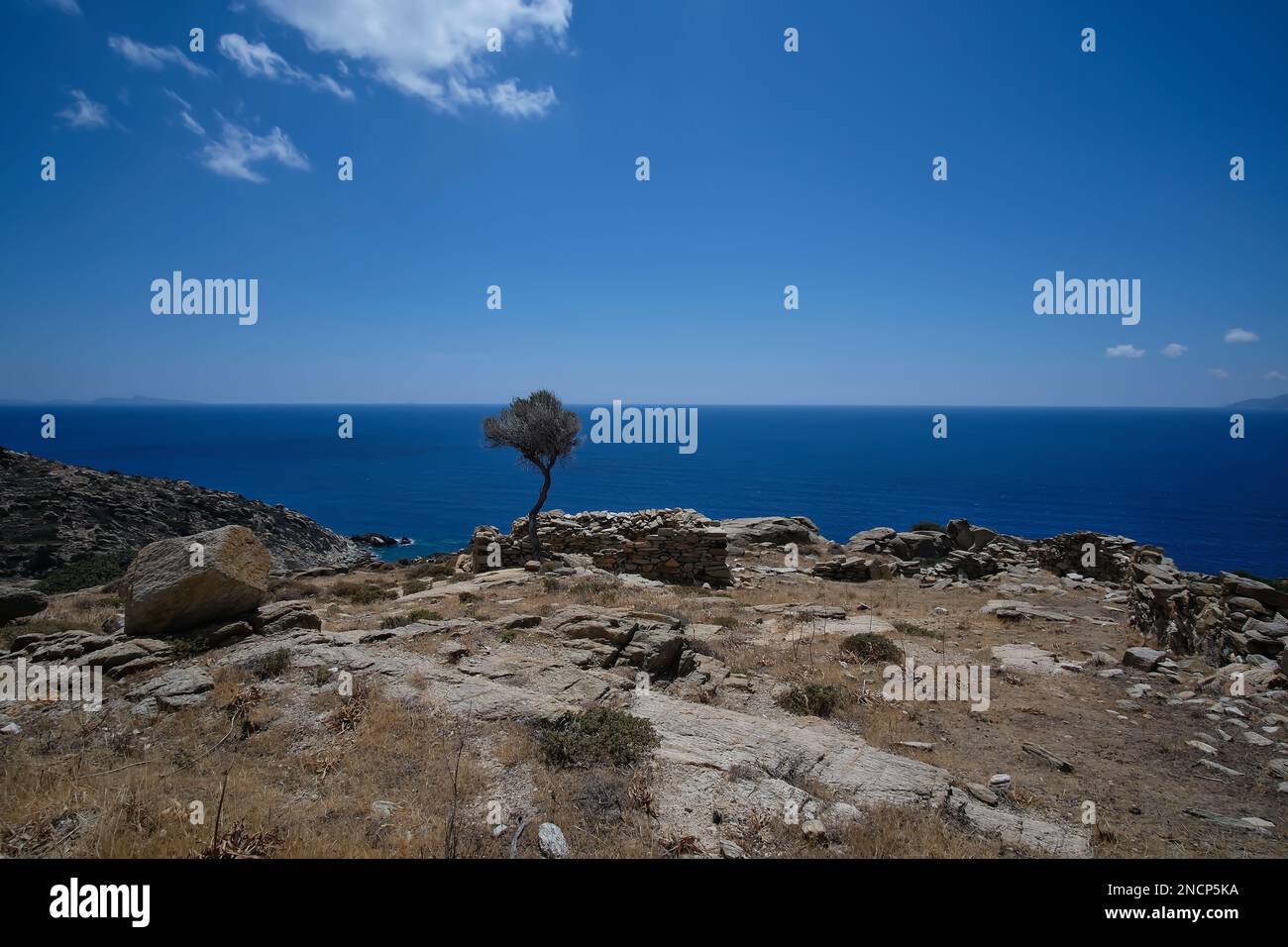 Blick auf einen einzelnen Baum mit Blick auf die Ägäis in iOS Griechenland Stockfoto