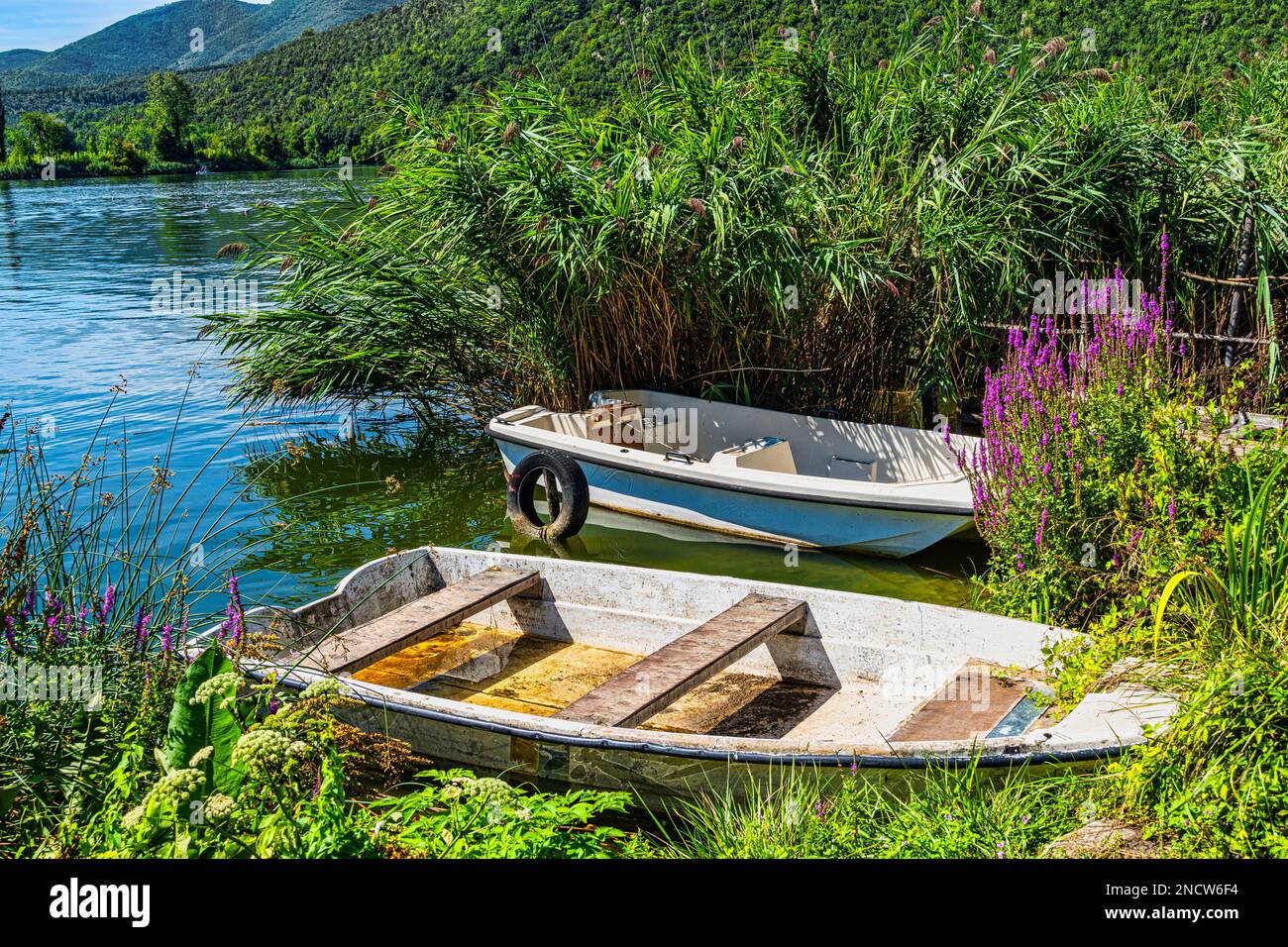 Alte kleine Boote, fast versenkt, an einem Pier, der von Pflanzen im Piediluco-See überwältigt ist. Üppige und farbenfrohe Natur. Terni, Umbrien, Italien Stockfoto