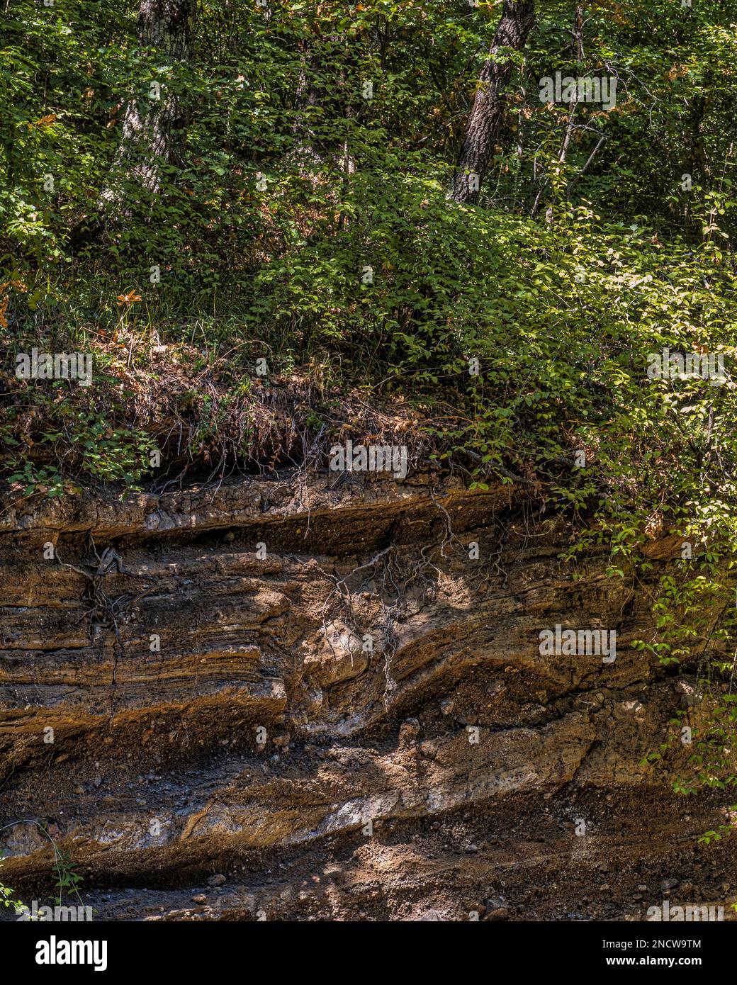 Der Bodenabfluss zeigte, dass die Sedimentschichten durch geologische Kräfte verformt wurden. Stadtpark Turona - Bolsena, Provinz Viterbo, Latium, Italien, Europa Stockfoto