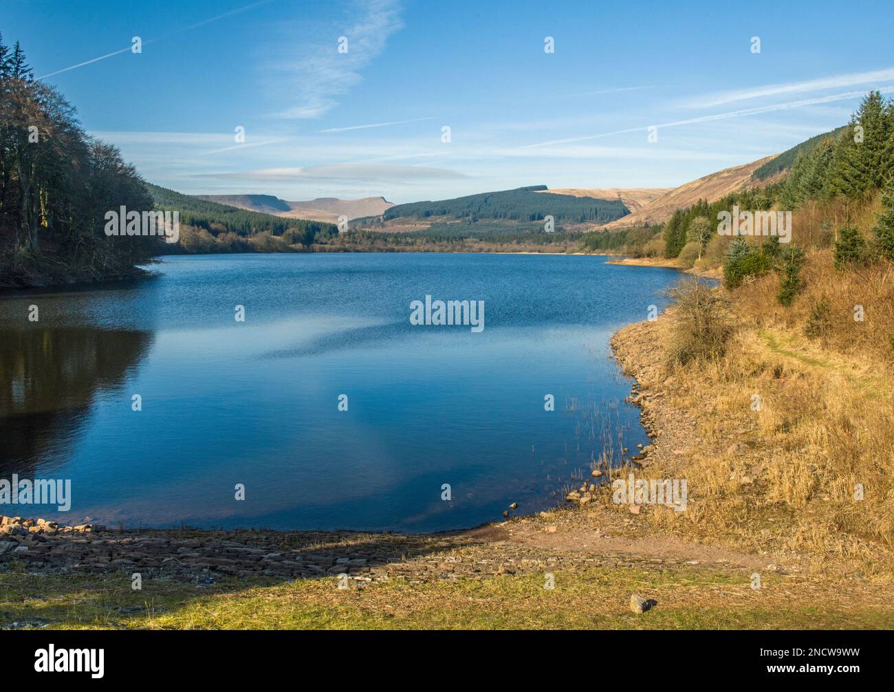 An einem sonnigen Frühlingstag im Pentwyn Reservoir in Richtung Corn Du Pen y Fan und immergrüner Wälder in den Central Brecon Beacons Stockfoto