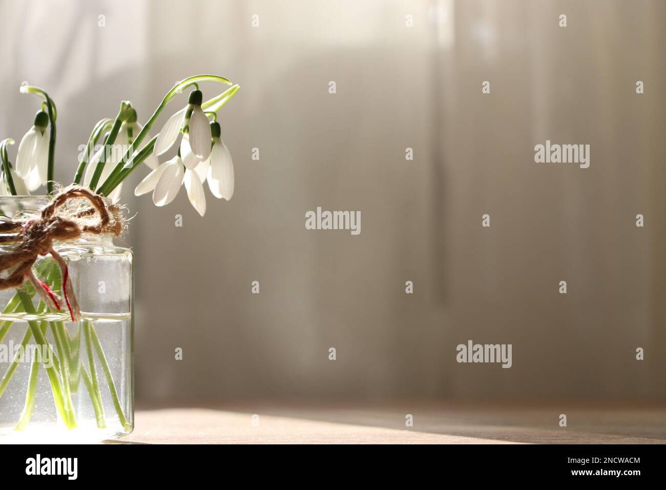 Schöne Schneetropfen im Glasbehälter im Innenbereich, Platz für Text. Erste Frühlingsblumen Stockfoto