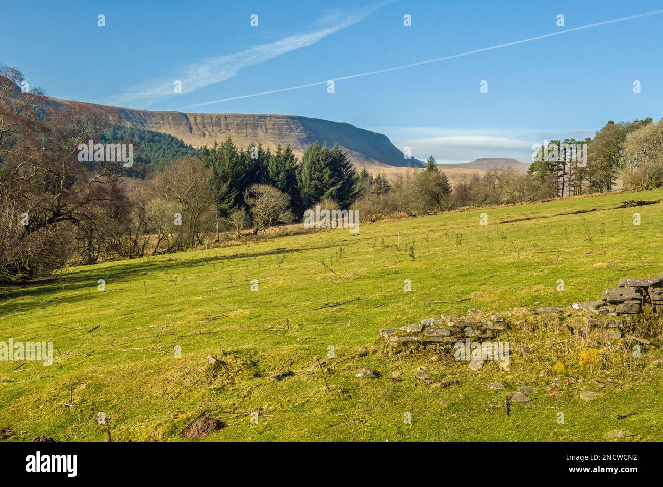 Blick auf das Upper Taff Valley im Central Brecon Beacons National Park South Wales Stockfoto