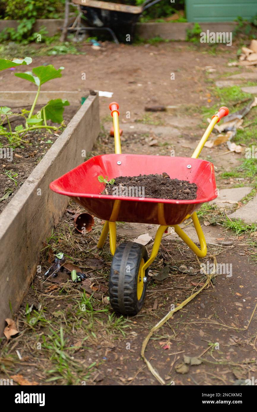 Rote Schubkarre im Garten Stockfoto