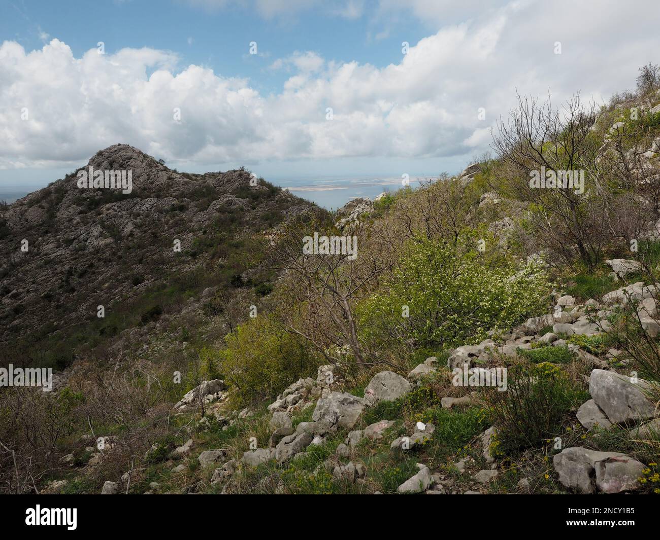 Felsvorsprung mit Vegetation, Palenica-Nationalpark Stockfoto