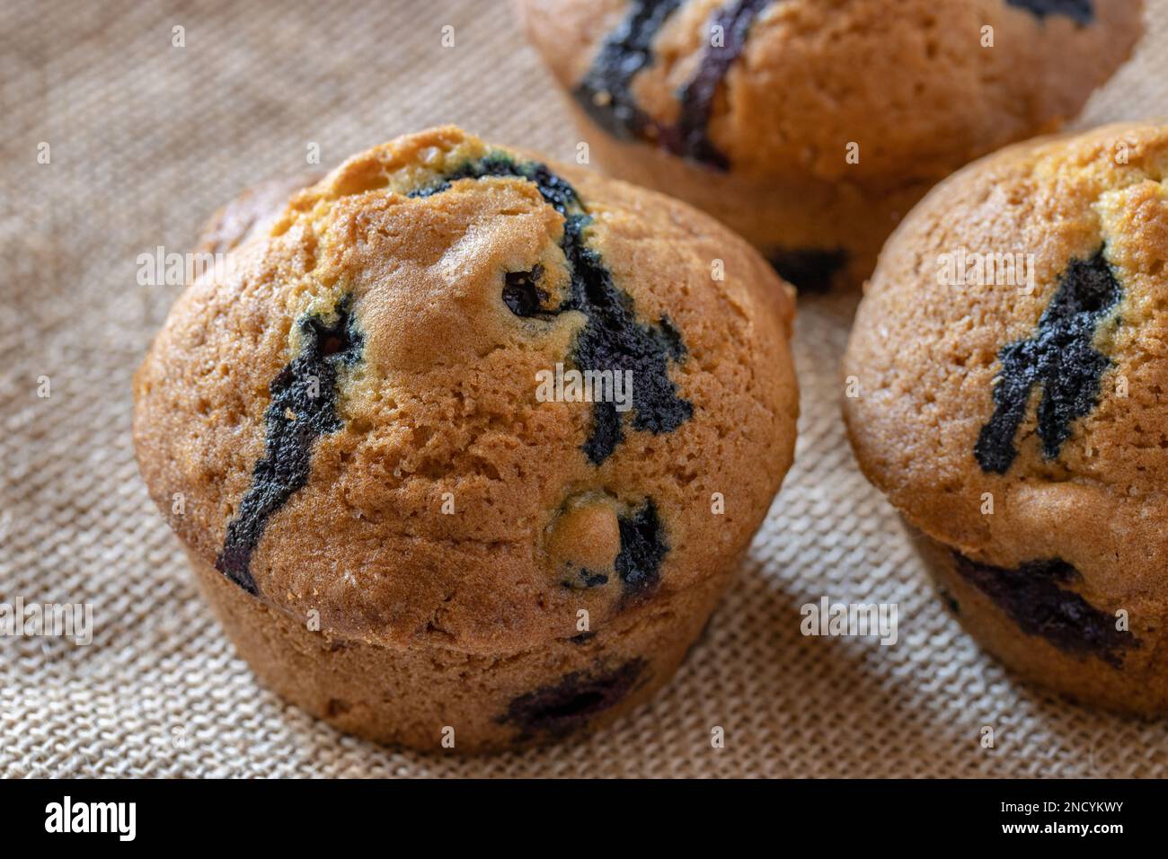 Hausgemachte Blaubeer-Muffins auf hessischem Hintergrund, Nahaufnahme mit Kopierbereich Stockfoto