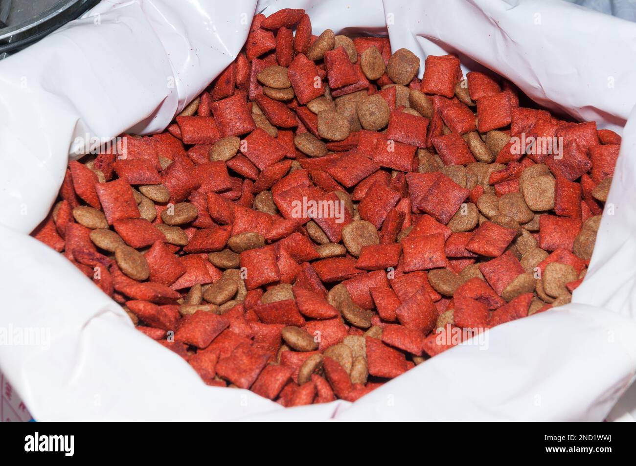 Konsistenz, Tierfutter (Hundefutter). Stockfoto