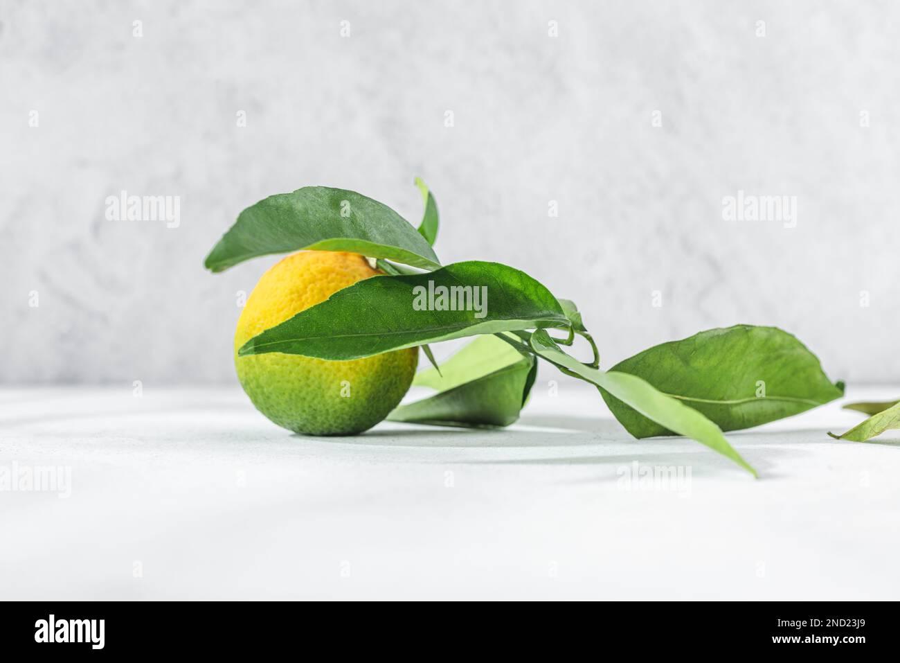 Orange Zitrustangerine mit grünem Stiel und Blättern auf einem weißen Tisch Stockfoto