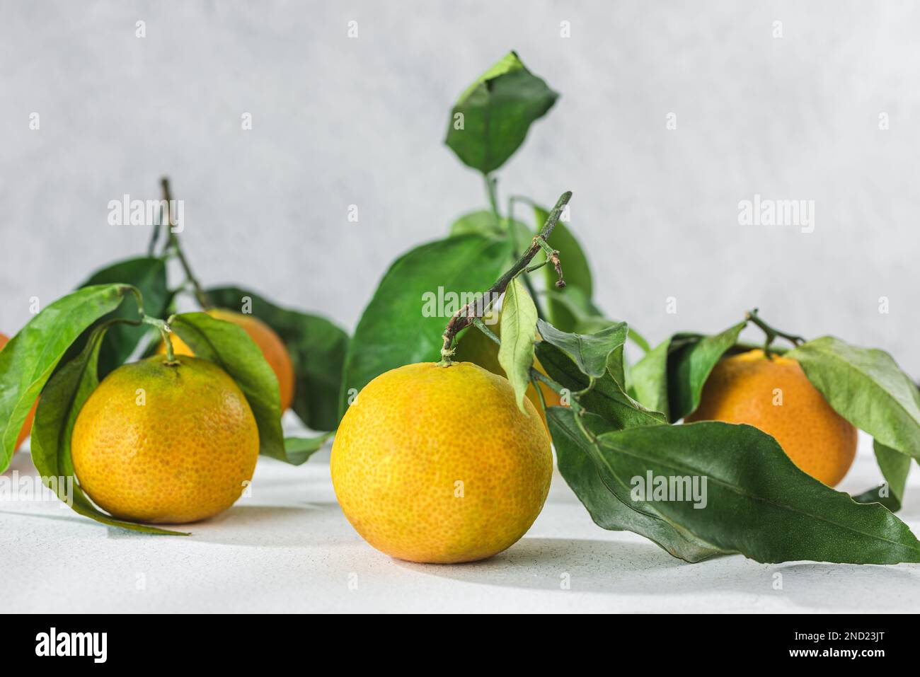 Orange Zitrusfrüchte Tangerinen mit grünem Stiel und Blättern auf einem weißen Tisch Stockfoto