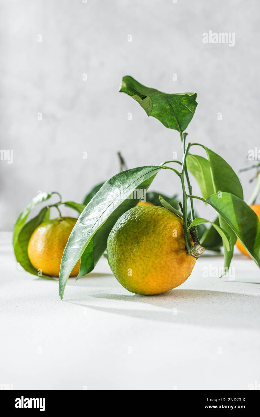 Orange Zitrusfrüchte Tangerinen mit grünem Stiel und Blättern auf einem weißen Tisch Stockfoto