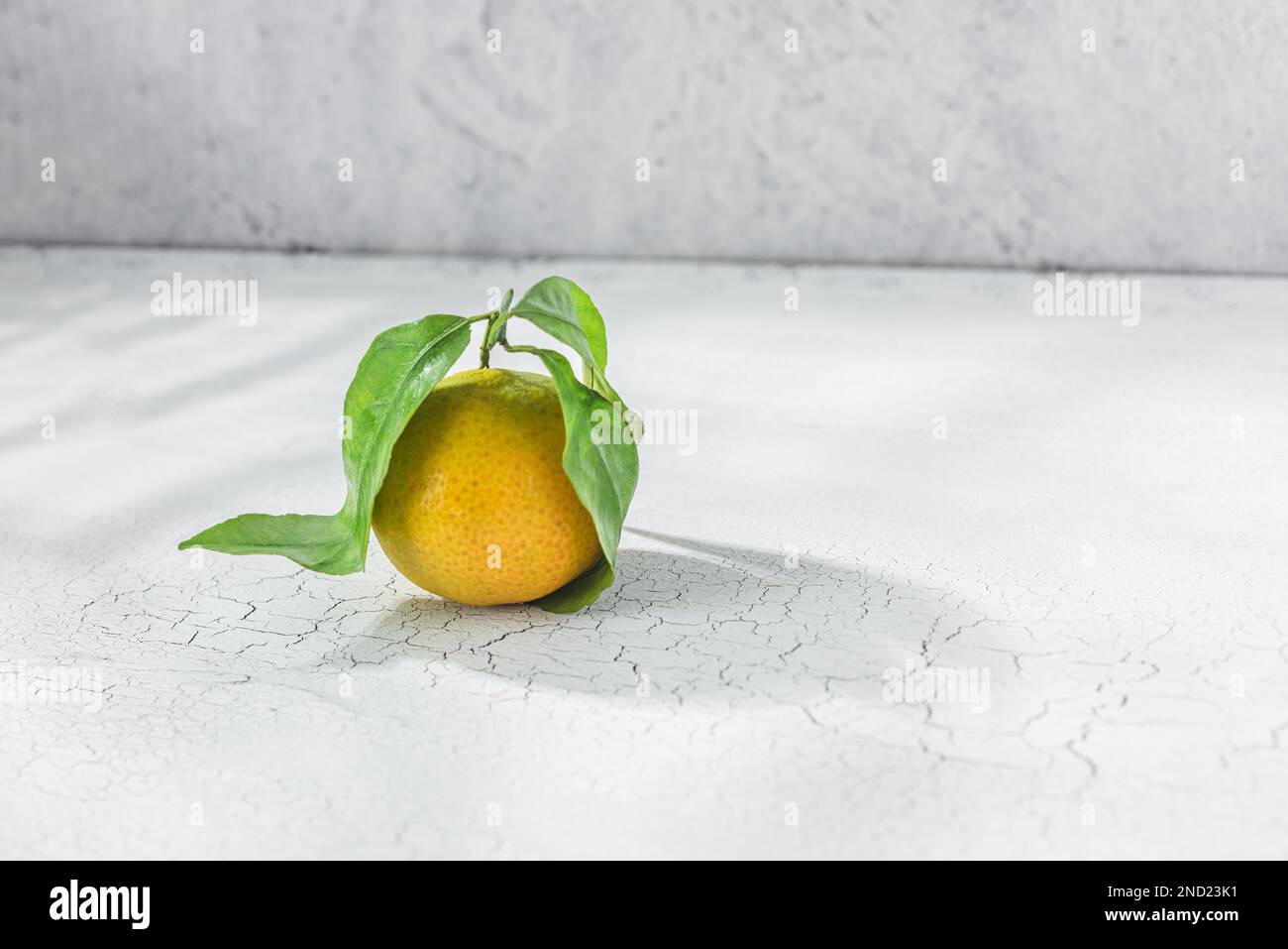 Orange Zitrustangerine mit grünem Stiel und Blättern auf einem weißen Tisch Stockfoto
