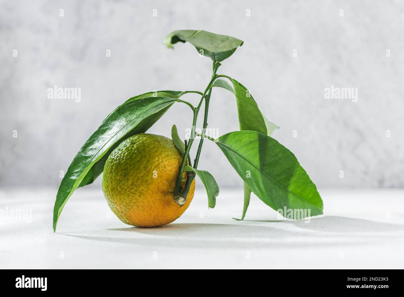 Orange Zitrustangerine mit grünem Stiel und Blättern auf einem weißen Tisch Stockfoto