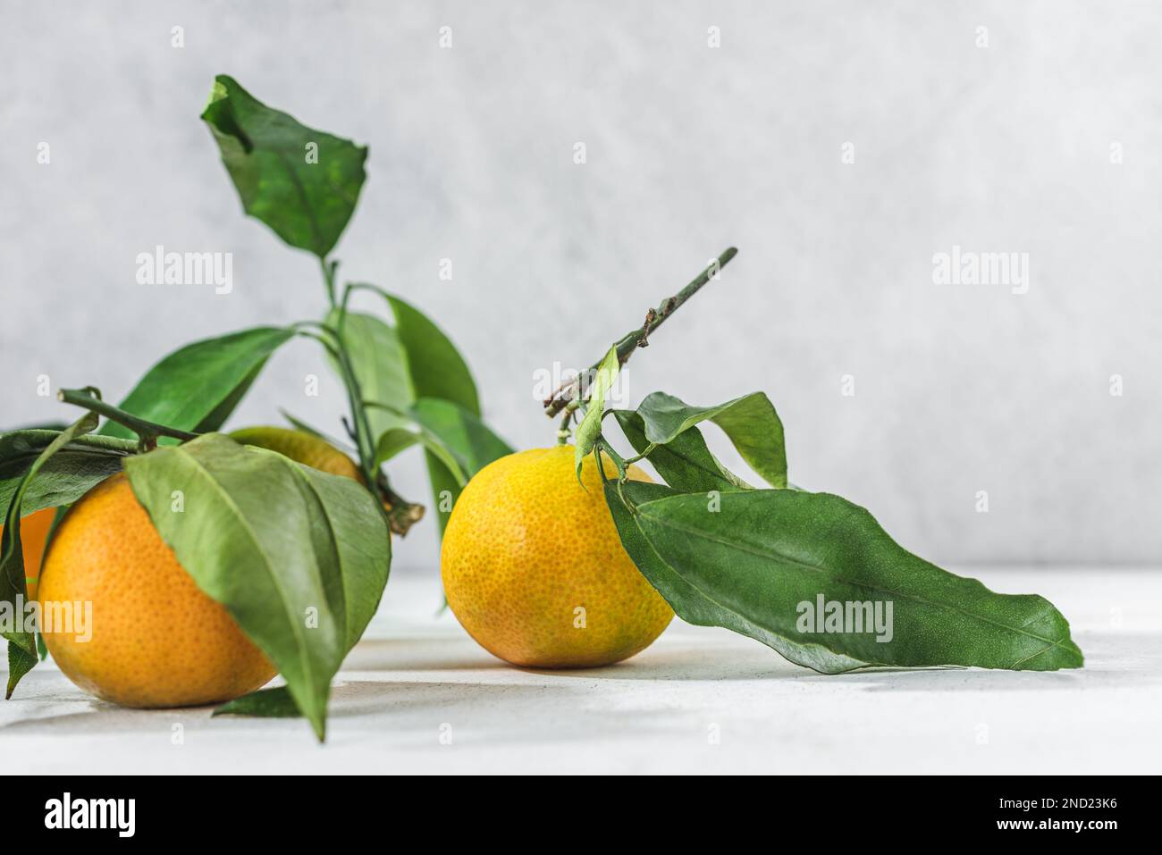 Orange Zitrusfrüchte Tangerinen mit grünem Stiel und Blättern auf einem weißen Tisch Stockfoto