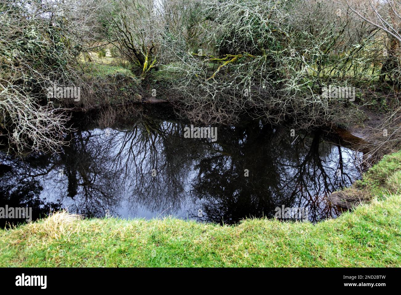 Der Shannon Pot ist die Quelle des Flusses Shannon, dem längsten Fluss Irlands (280 km), Teil des Cavan Way, Iralnd (16 m breit und 14.6 m tief) Stockfoto