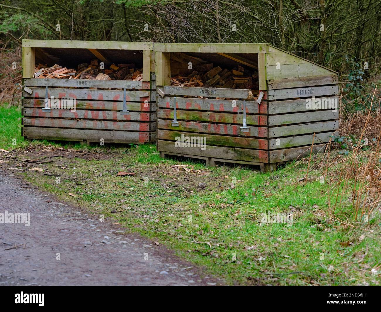 Holzlager für die Waldhütten von Bivouac auf dem Swinton Estate Stockfoto