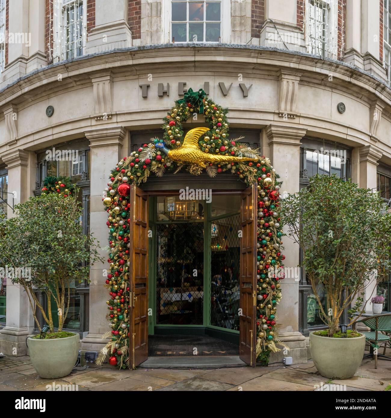 Außenfassade des Ivy Restaurants in York mit dem Eingang, dekoriert mit Weihnachtskugeln und einem großen Goldhühnchen. York UK Stockfoto