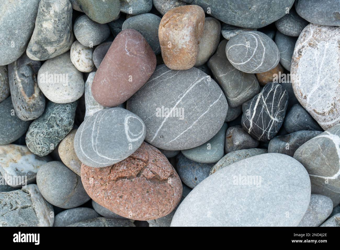 Meeressteine im Hintergrund. Selektiver Fokus. Steine verschiedener Formen und Farben, Draufsicht Stockfoto