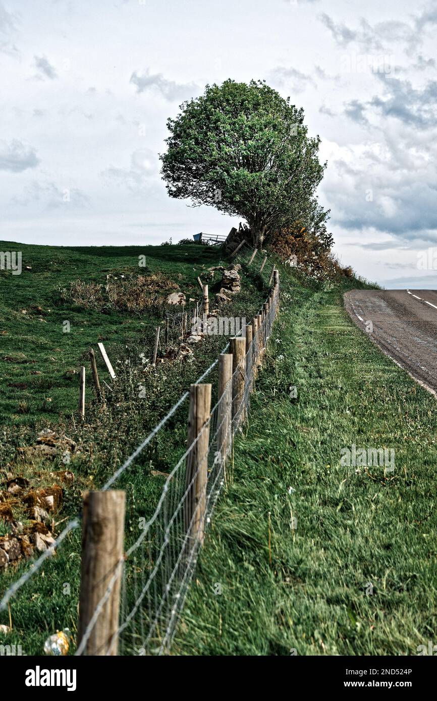 Ein Drahtzaun trennt eine Landstraße vom Bauernland Stockfoto