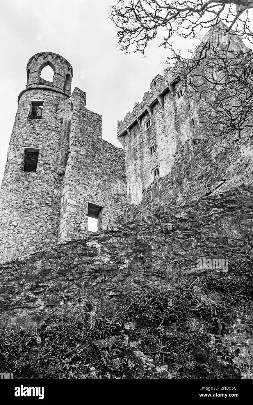 Blarney Castle, Heimat des legendären Steins von Blarney, Cork, Irland, in Schwarz und Weiß Stockfoto