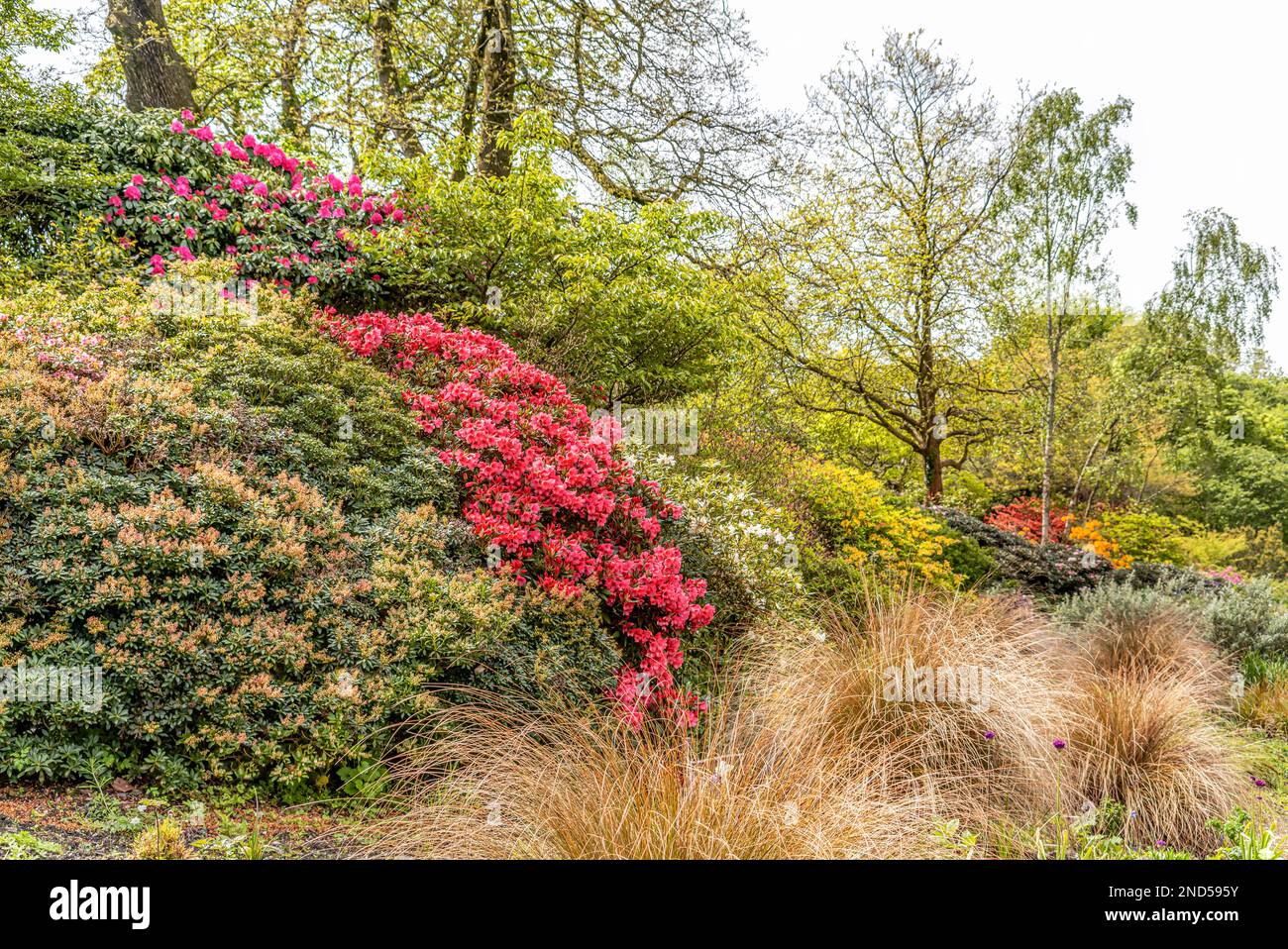 Sommergarten am den Garten Haus, Yelverton, Devon, England Stockfoto
