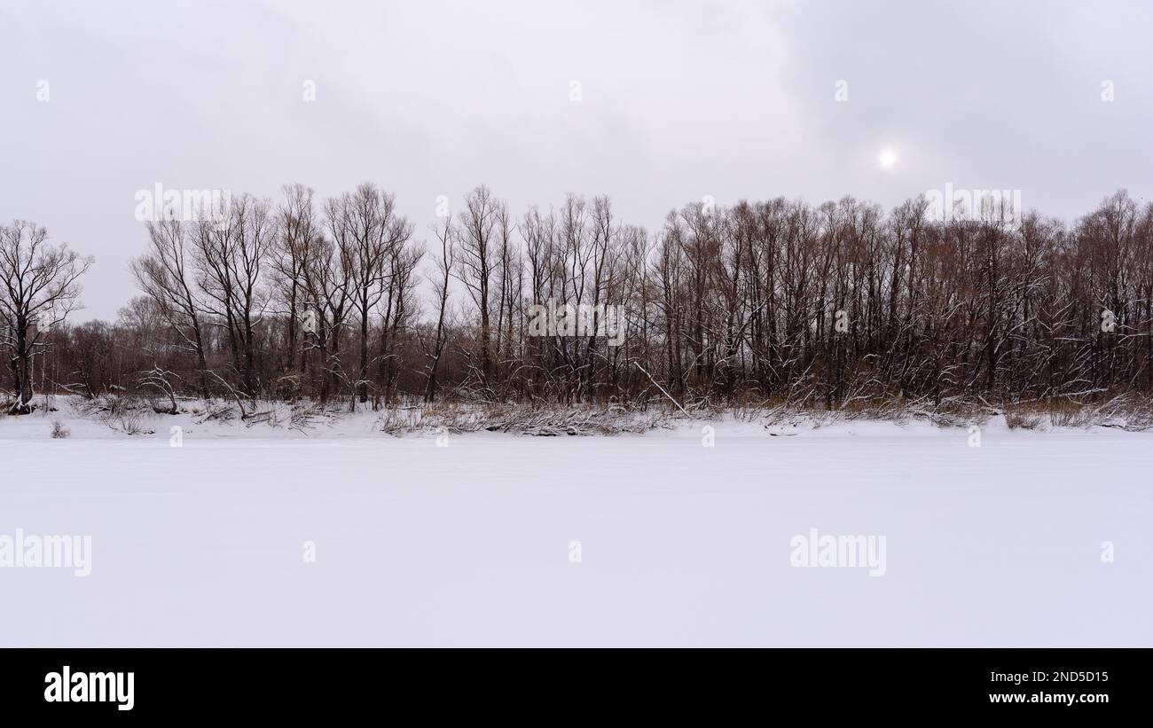 Die Wintersonne scheint durch die Wolken über einem Streifen von Waldbäumen und Büschen in der Nähe des Flusseises. Stockfoto Die Wintersonne scheint durch die Wolken über einem Streifen von Waldbäumen und Büschen in der Nähe des Flusseises. Stockfoto