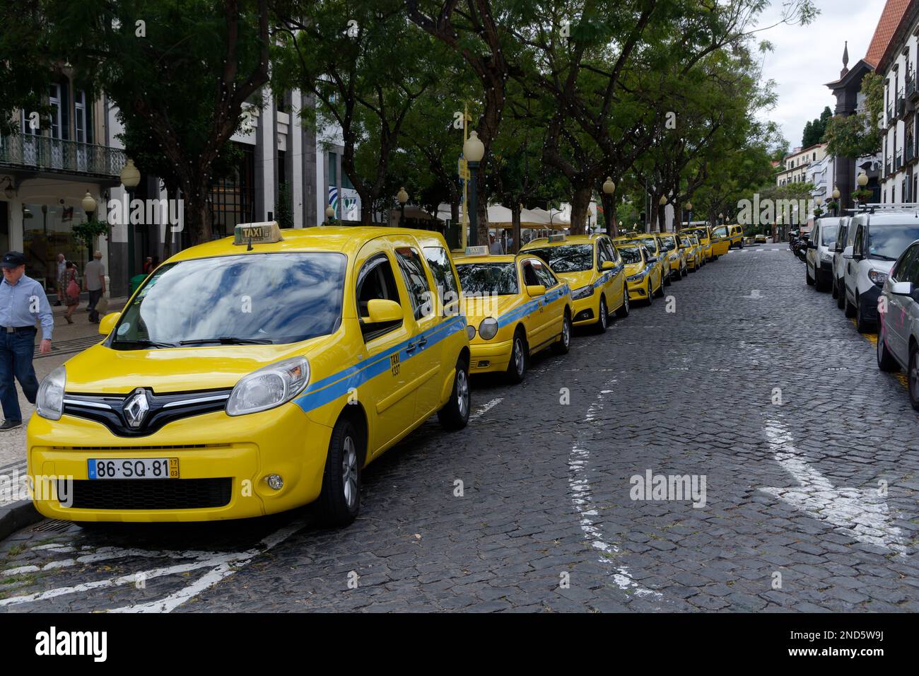 Gelbe Taxis stehen an einer Hauptstraße in Funchal, Madeira, in Schlange. Sie haben einen Besuch mit einem Kreuzfahrtschiff gemacht, während Sie einen unabhängigen Spaziergang durch Funchal machten. Stockfoto