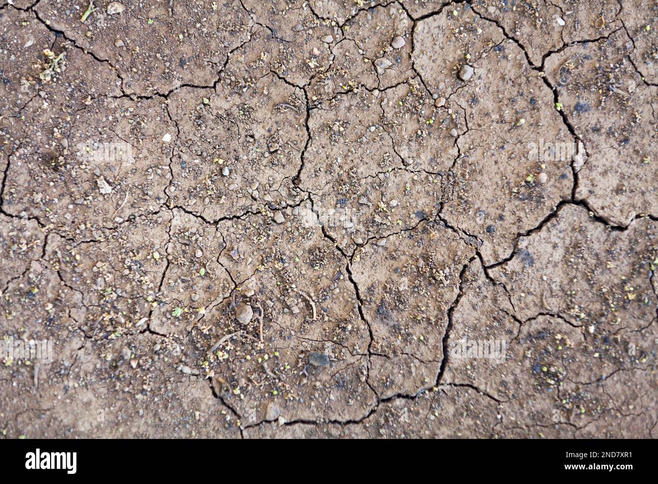 Nahaufnahme einer gerissenen, trockenen Erde mit globaler Erwärmung. Stockfoto
