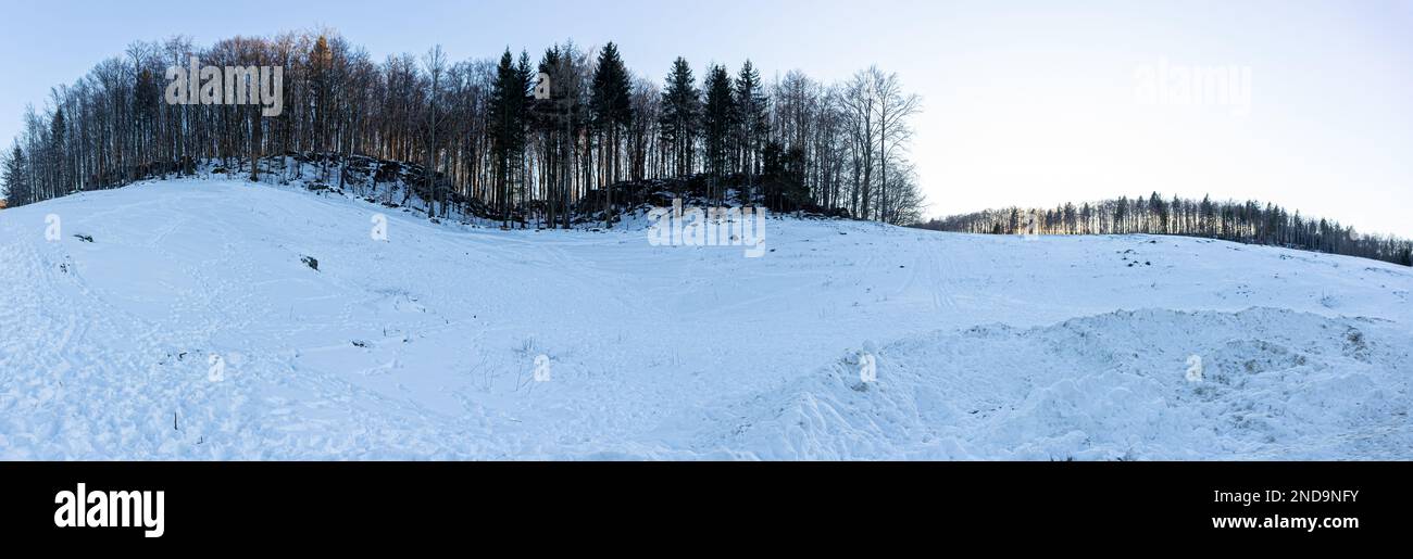 Winter Wonderland: Ein verschneiter Wald in den Bergen Stockfoto