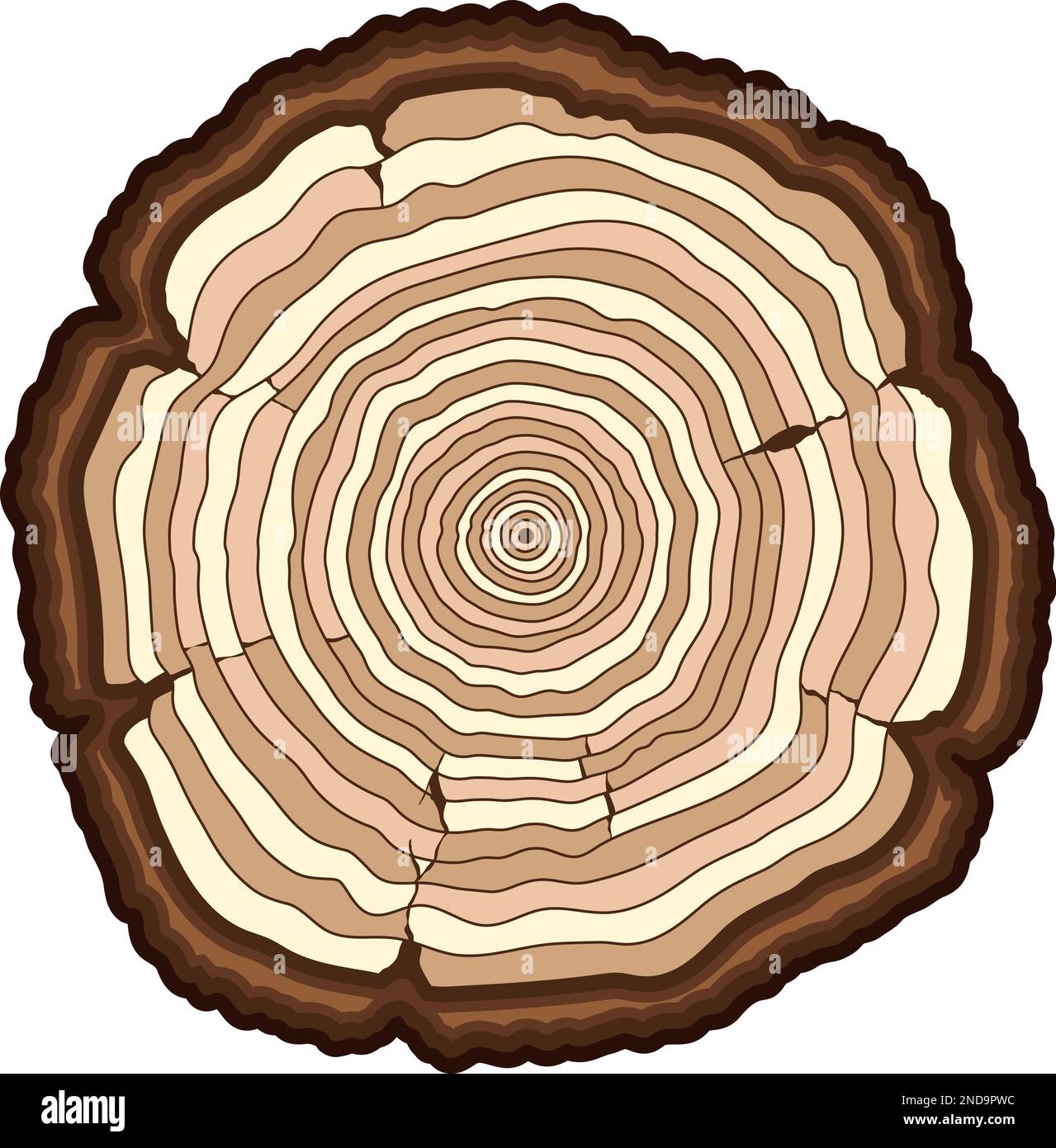 Baumringe. Farbsymbol für Holzsägen Stock Vektor