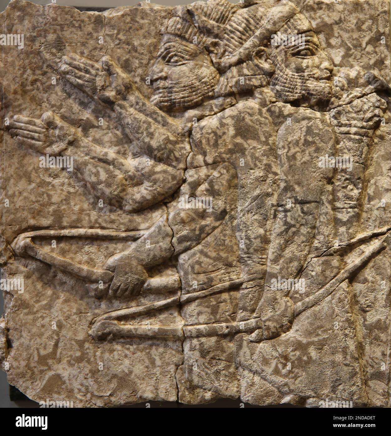 Elamitenkrieger. Neo-Assyrisches Reich, Herrschaft von Aschurbanipal (668-627 v. Chr.), Kalkstein. Nineveh (Kujunjik). Nordpalast. Irak. Barracco Museum of Ant Stockfoto