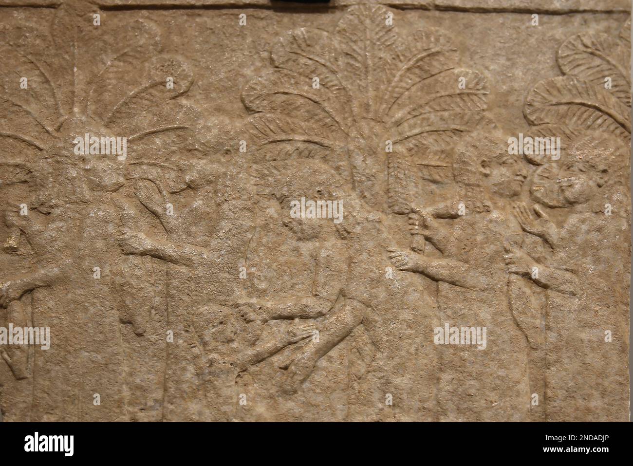 Deportierte Frauen. Neo-Assyrisches Reich, Herrschaft von Aschurbanipal (668-627 v. Chr.). Alabasterkalkstein. Von Nordmesopotamien, Nineveh (Kuyunjik), NordP Stockfoto