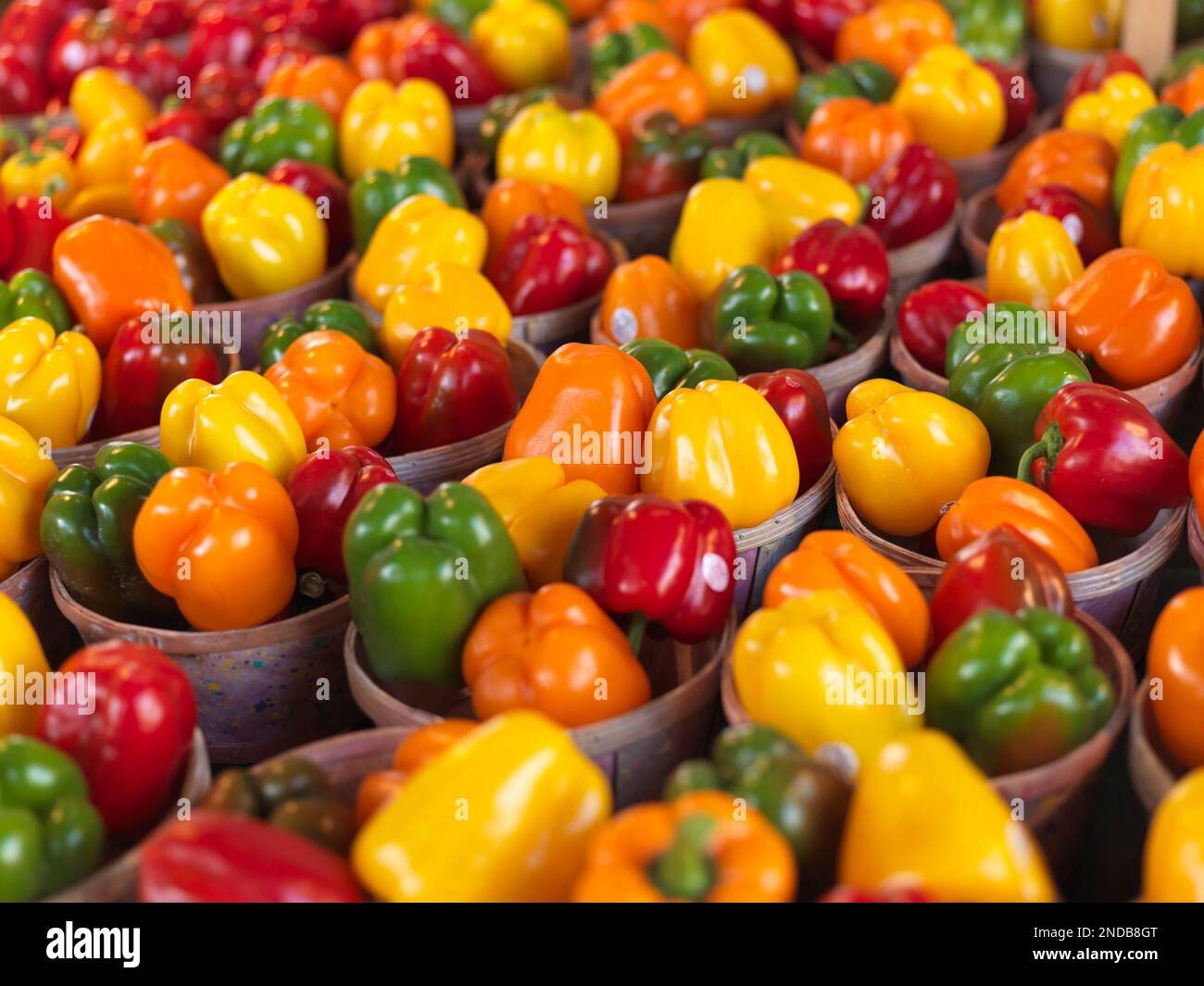 Verschiedene Paprika in Körben auf einem Markt Stockfoto