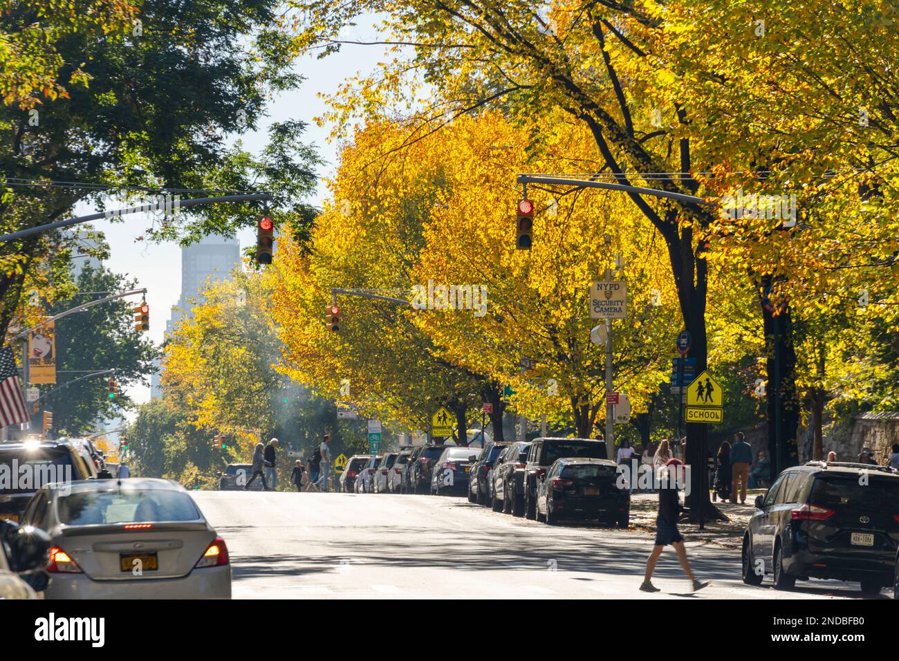 Das herbstliche Sonnenlicht beleuchtet eine Reihe von blattfarbenen Bäumen entlang der Fifth Avenue Stockfoto