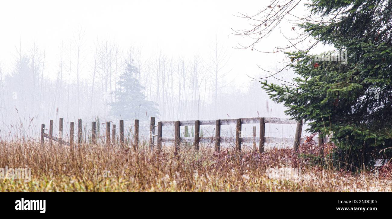 Nebeliger, nebeliger Tag, alter Zaun auf einem Feld mit trockenen Gräsern. Platz für Worte. Stockfoto