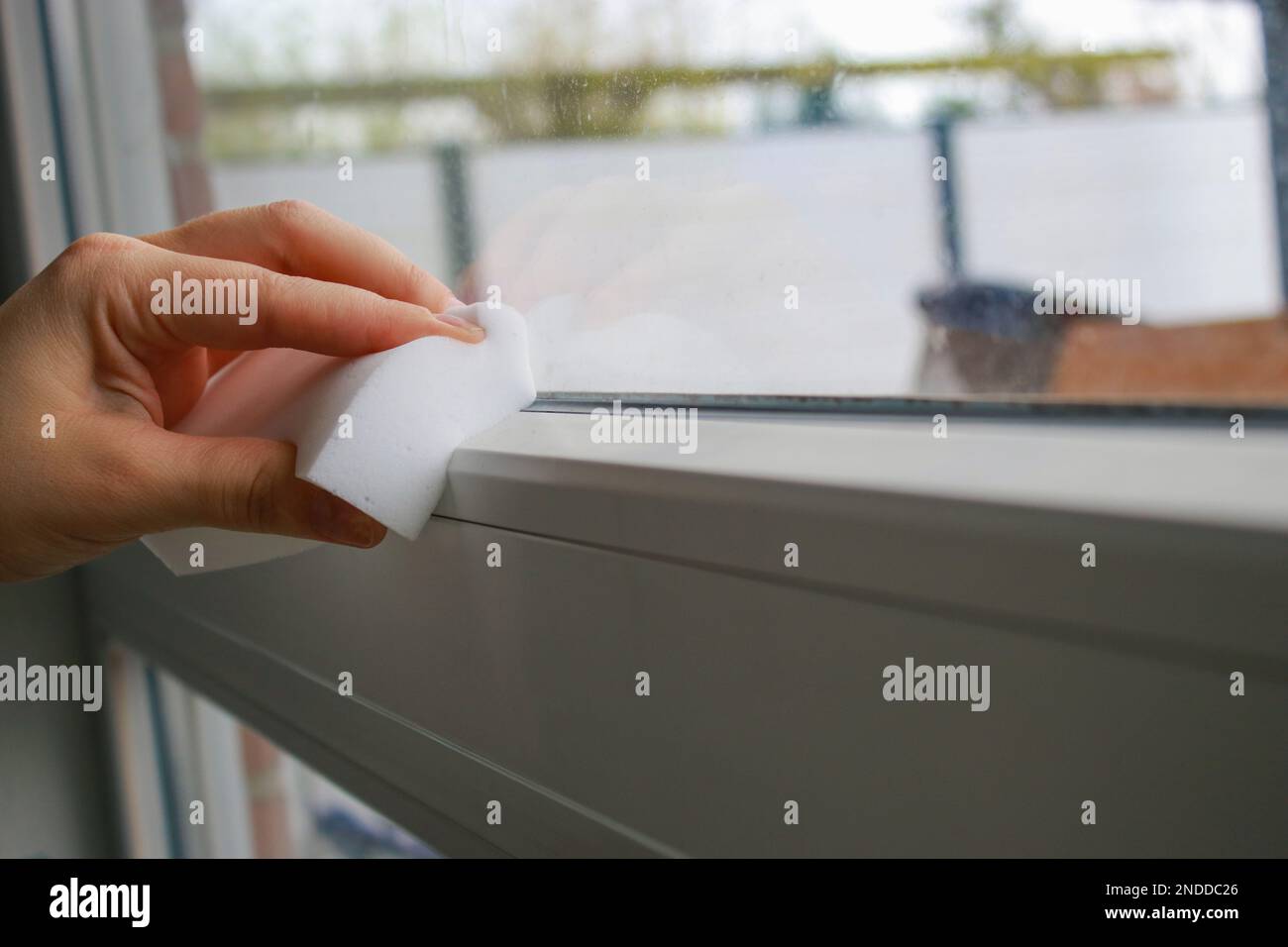 Nahaufnahme der Hand einer Frau, die ein Fenster mit einem weißen Schwamm putzt, keine Handschuhe, Frühjahrsputz. Hochwertiges Foto Stockfoto