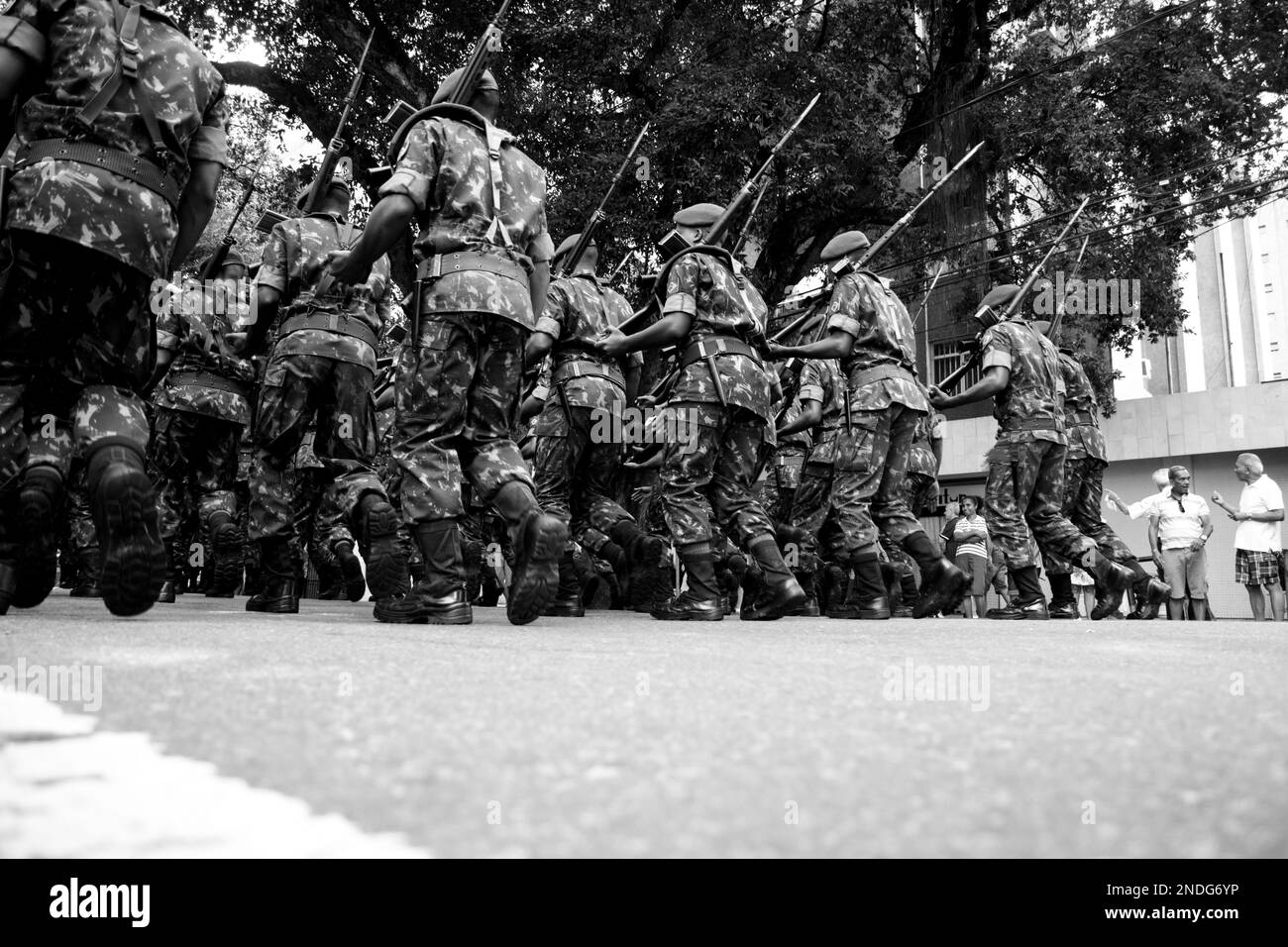 Eine Gruppe junger Soldaten marschiert am brasilianischen Unabhängigkeitstag in der Stadt Salvador, Bahia Stockfoto