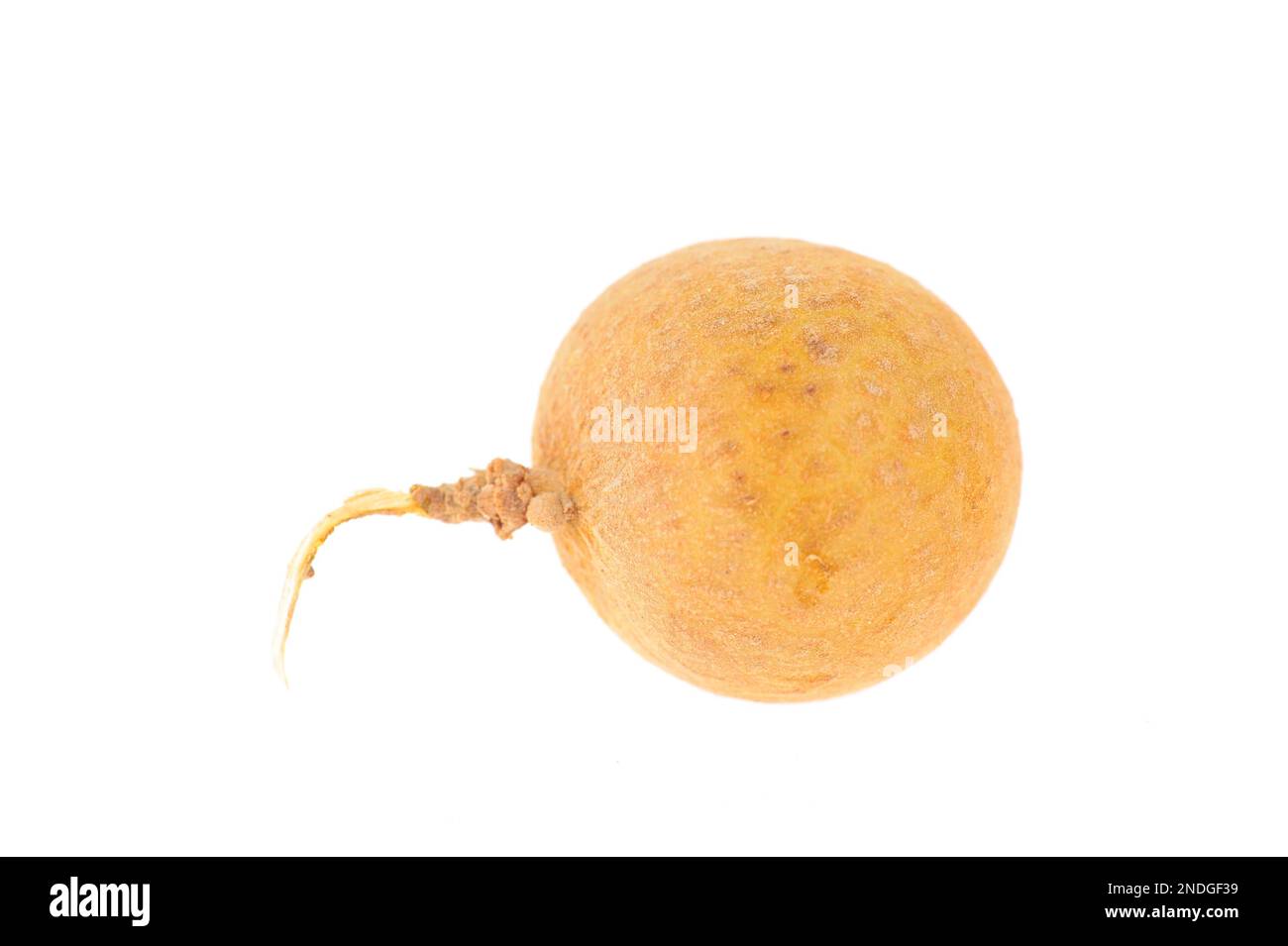 Longan Stockfoto