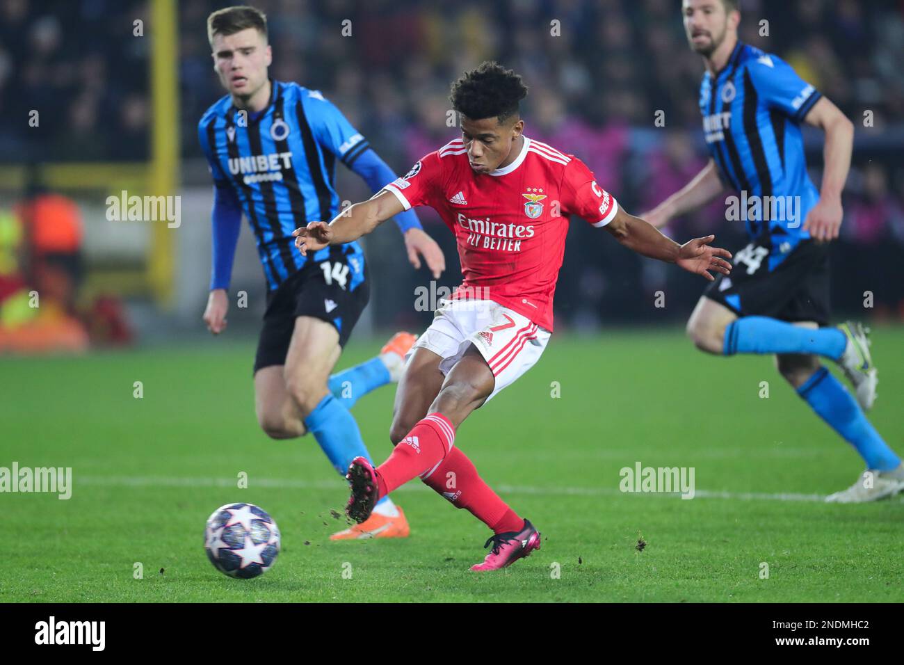 Brügge, Belgien. 15. Februar 2023. David Neres (C) von Benfica trifft während der 1.-teiligen UEFA Champions League-Runde des Fußballspiels 16 zwischen dem Club Brügge und Benfica im Jan Breydel Stadium in Brügge, Belgien, am 15. Februar 2023. Kredit: Zheng Huansong/Xinhua/Alamy Live News Stockfoto