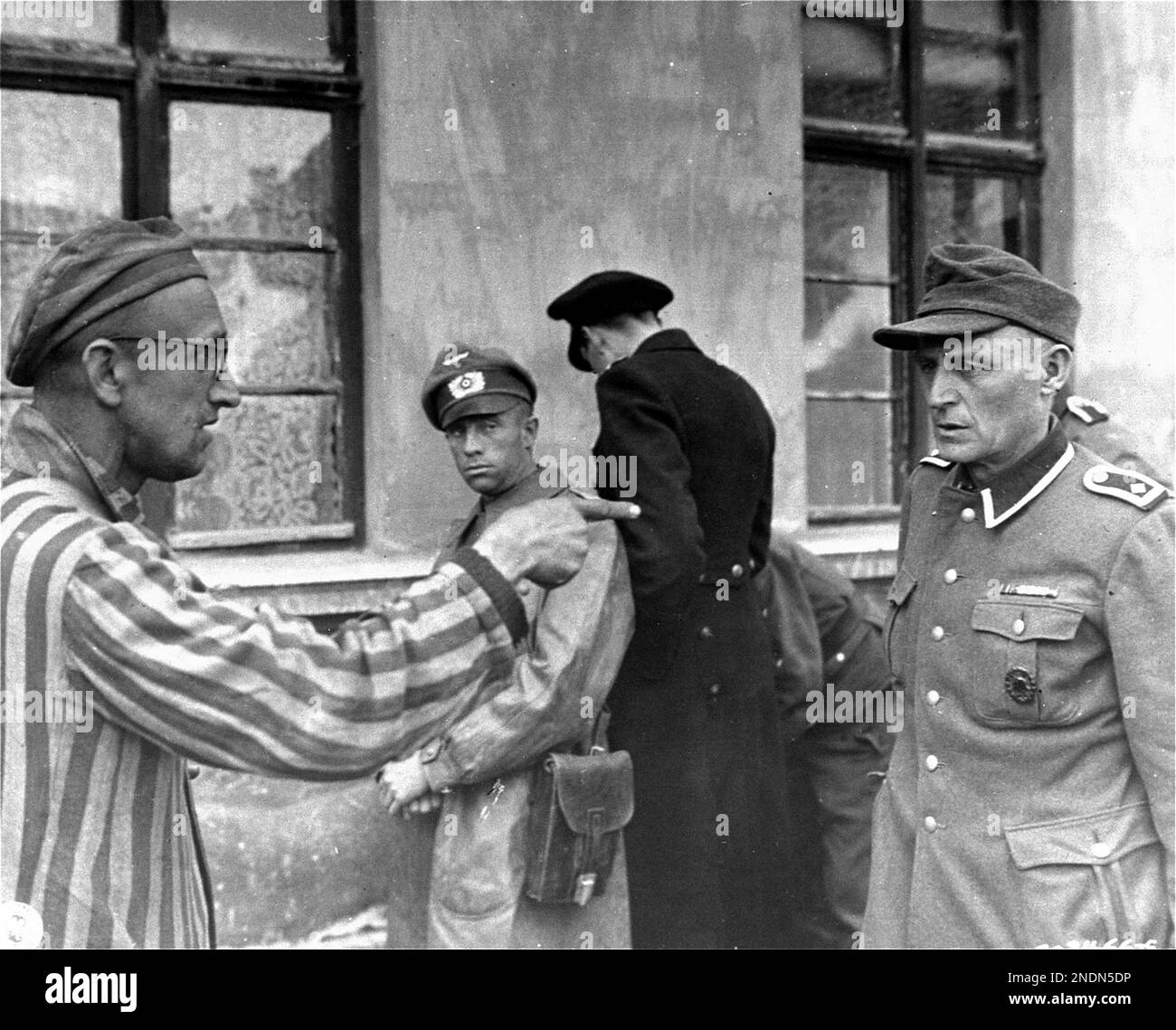 Ein befreiter Buchenwalder KZ-Gefangener identifiziert ein Mitglied der SS-Lagerwache. Stockfoto