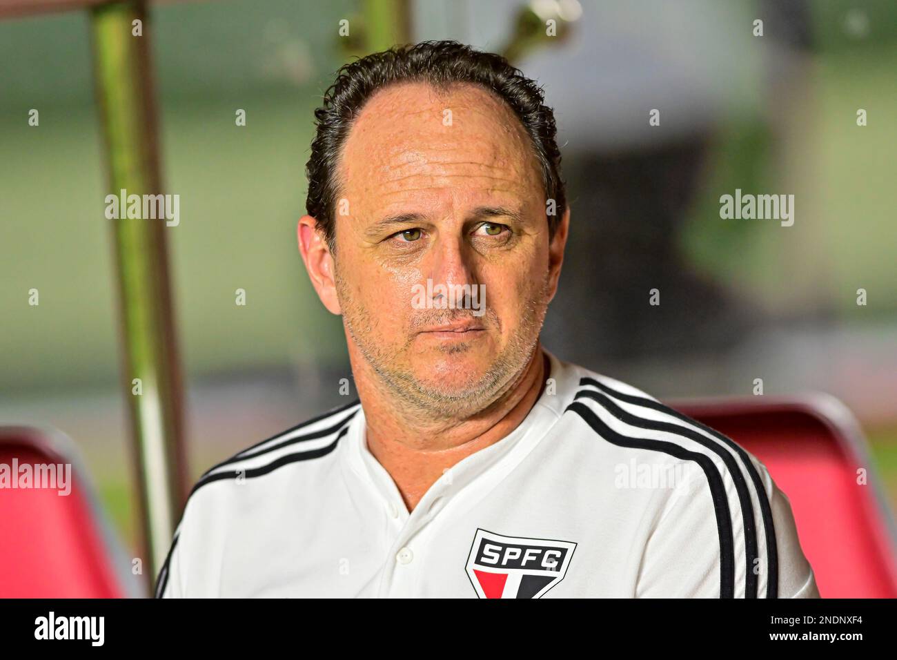 São PAULO, SP - 15.02.2023: São PAULO X INTER DE LIMEIRA - Rogerio Ceni von São Paulo während eines Spiels zwischen São Paulo x Inter de Limeira, gültig für die 9. Runde der Paulista-Meisterschaft 2023 und abgehalten in Estádio do Morumbi in São Paulo, SP. (Foto: Maurício Rummens/Fotoarena) Stockfoto