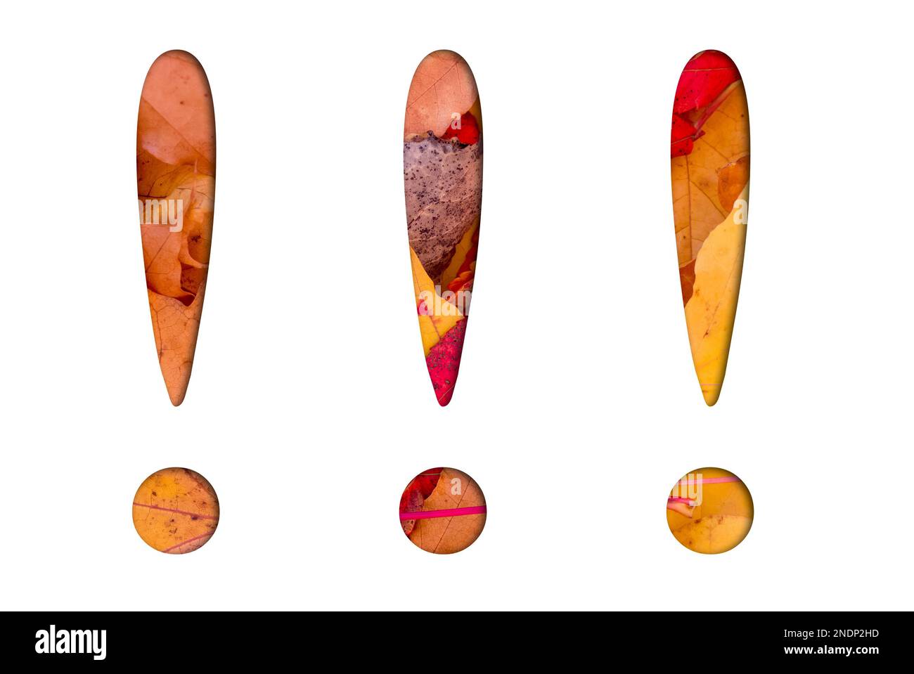 Herbstblätter, Objekte mit Ausrufezeichen. Natürliche Muster, Farbdesign. Stockfoto