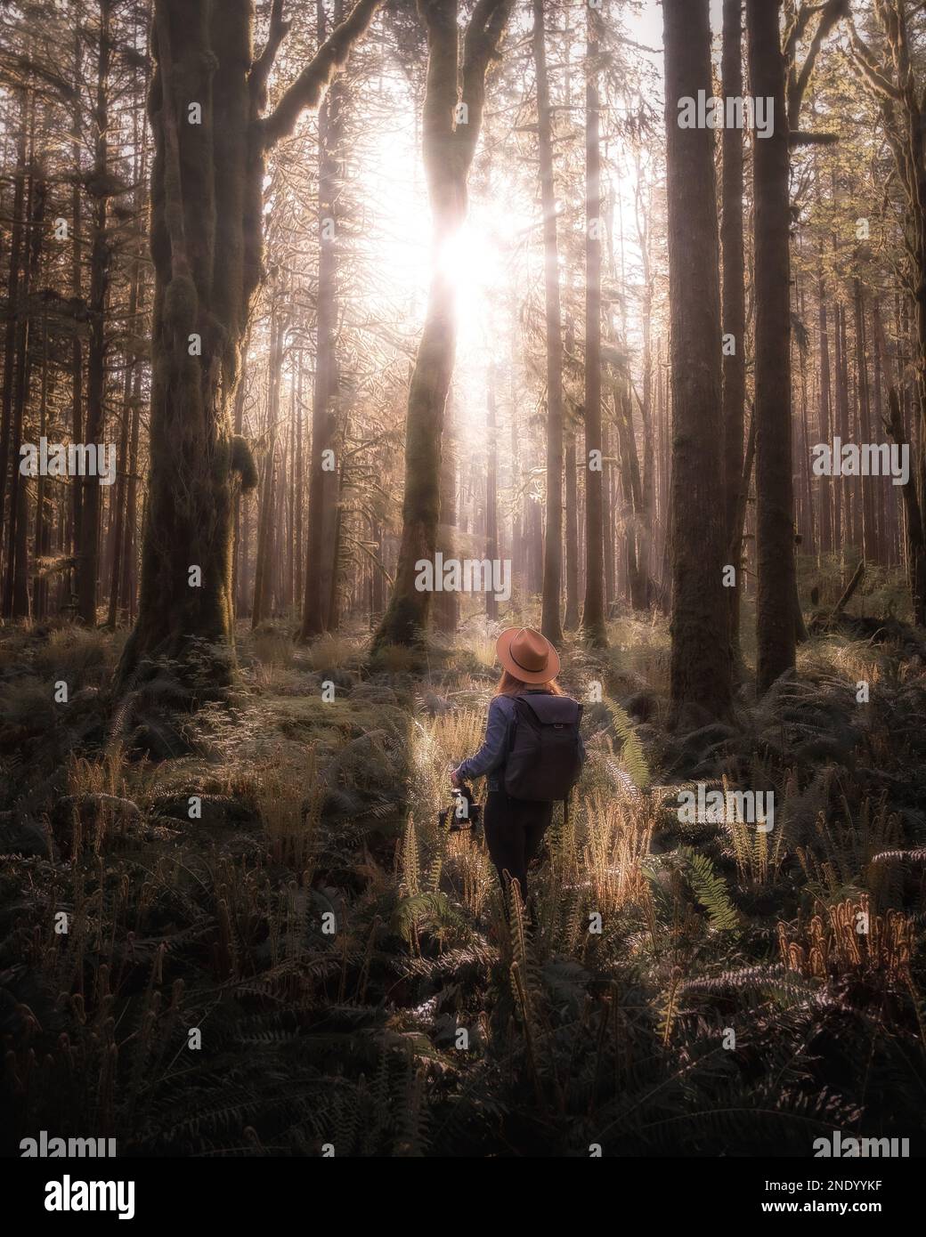 Ein Mädchen, das bei Sonnenaufgang in einem traumhaften Wald spaziert Stockfoto