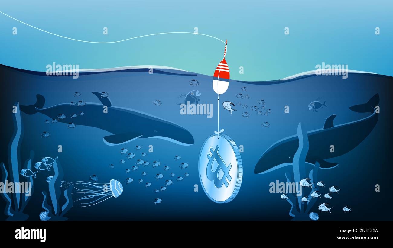 Bitcoin sinkt im Meer, wo die Wale darauf warten. Wale jagen auf sinkenden  BTC, die an der Angelschnur mit Schwimmer gehalten wird. Metapher für  Stockfotografie - Alamy