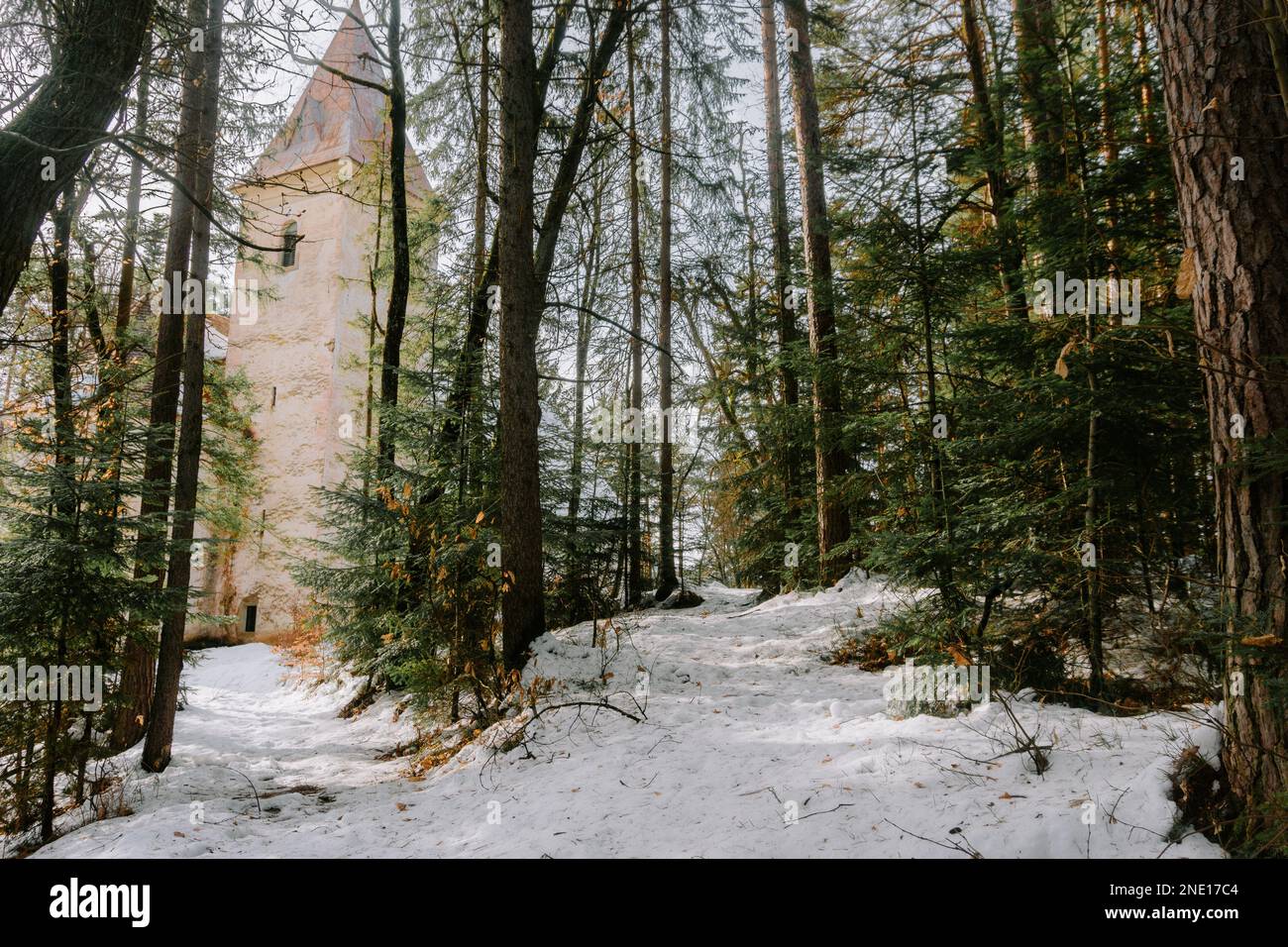 Zwei Wege führen zu einer Kirche im Wald (cerkev sv. Janeza Krstnika) in der Nähe von Janzeva Gora Slowenien. Stockfoto