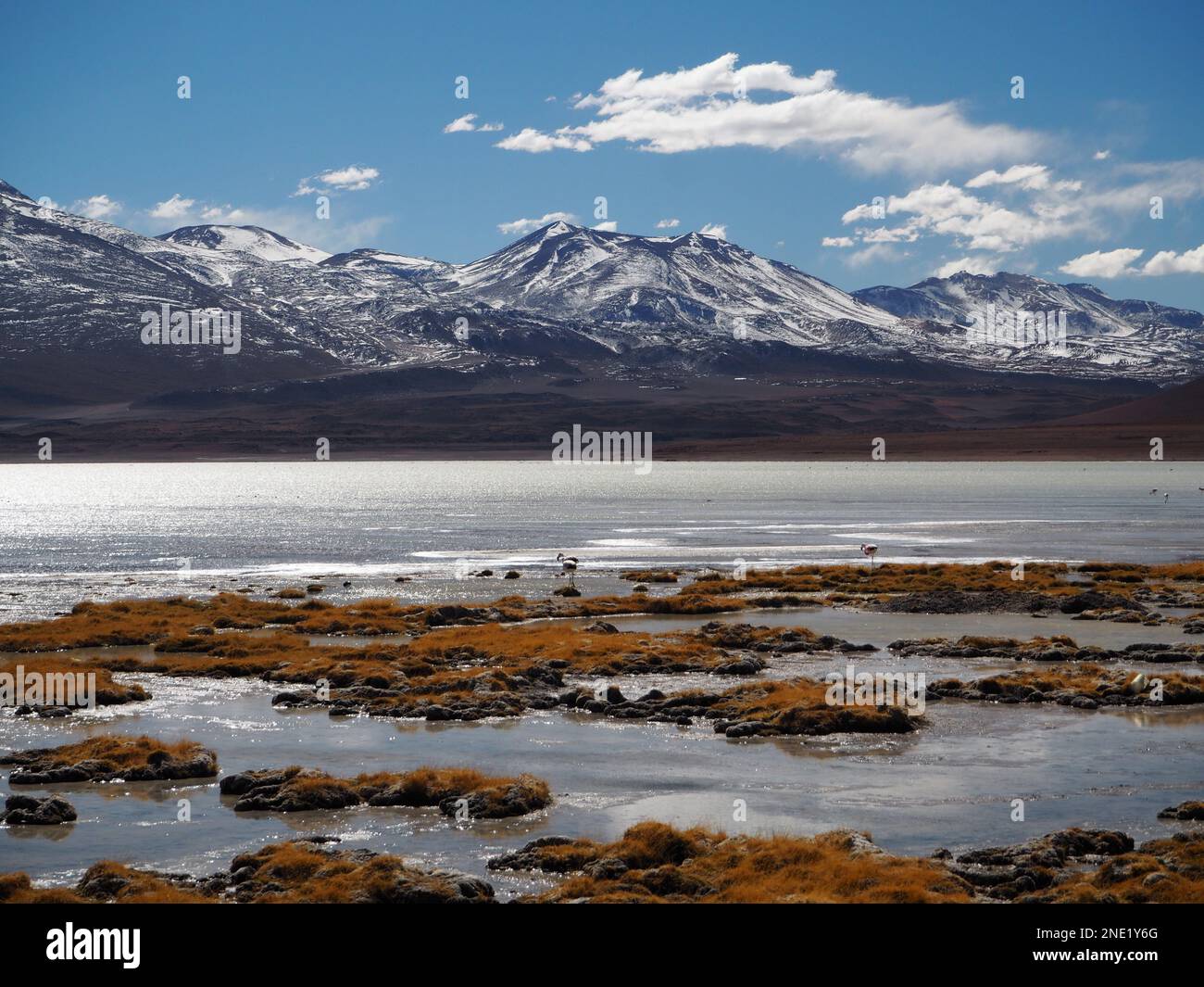 Laguna Hedionda im Südwesten von Bolivien Stockfoto