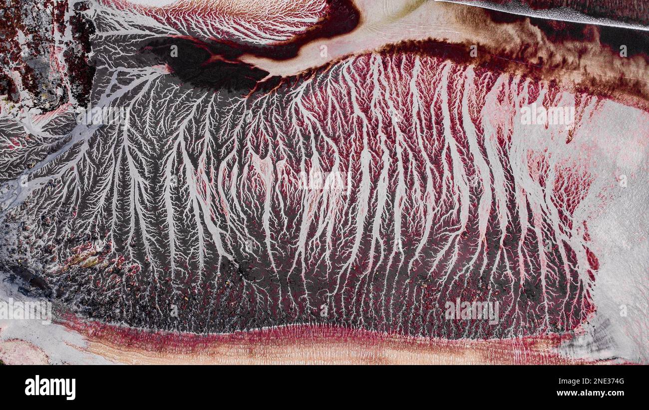 Alleinreisefotografie Stockfoto